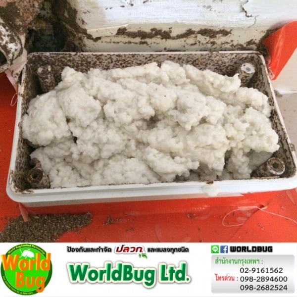 รับติดตั้งระบบเหยื่อกำจัดปลวก 