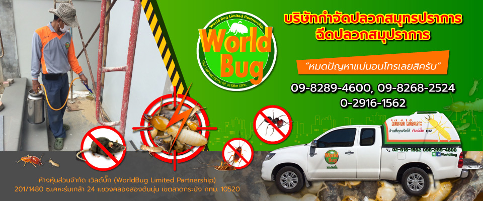 เวิลด์บั๊ก บริษัทกำจัดปลวกสมุทรปราการฉีดปลวกสมุปราการ